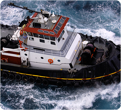 Marine Cable